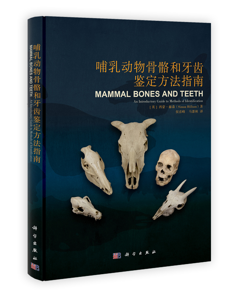 哺乳动物骨骼和牙齿——鉴定方法指南
