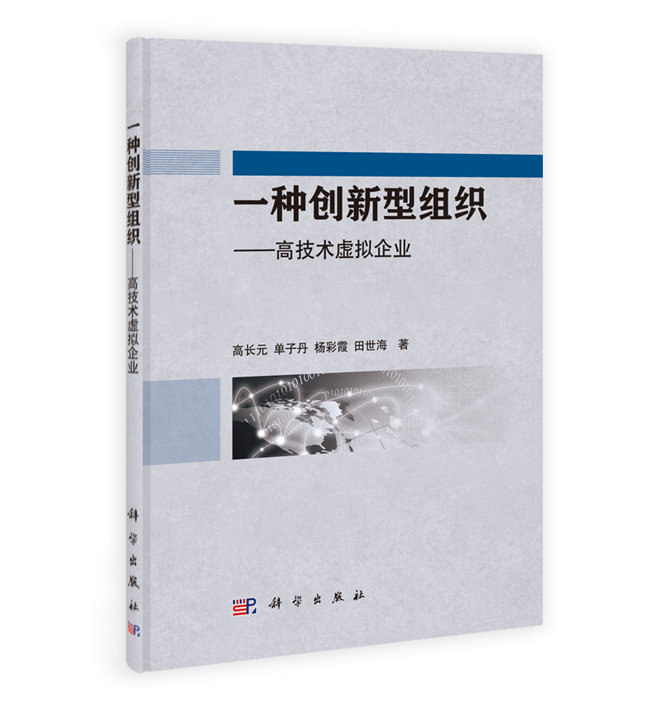 一种创新型组织——高技术虚拟企业